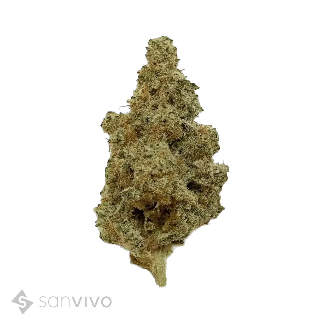 420 Evolution 22/1 CA MAC 