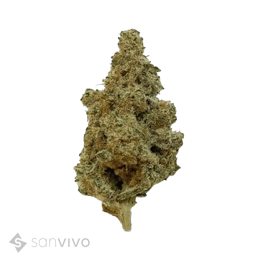 420 Evolution 25/1 CA MAC 