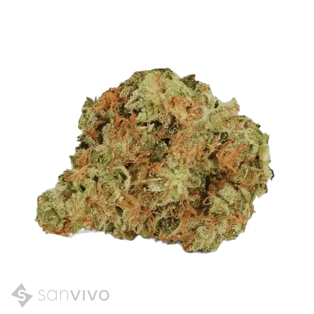 Bucket List strain