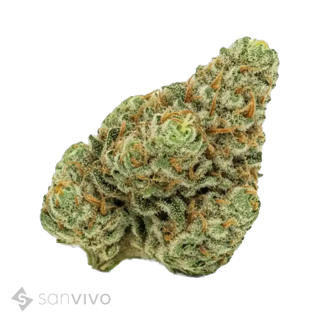 Gorilla Glue strain