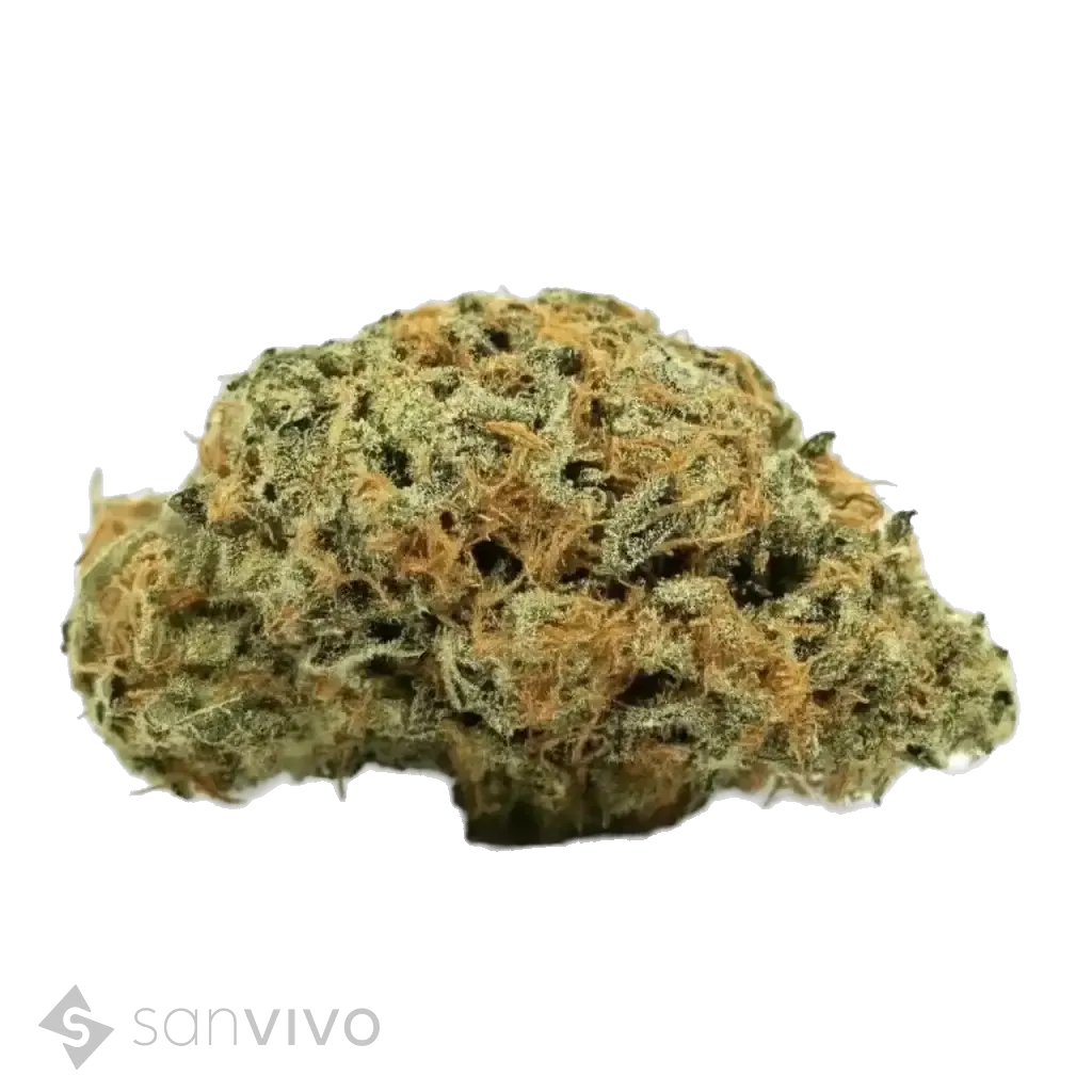 La Sage strain