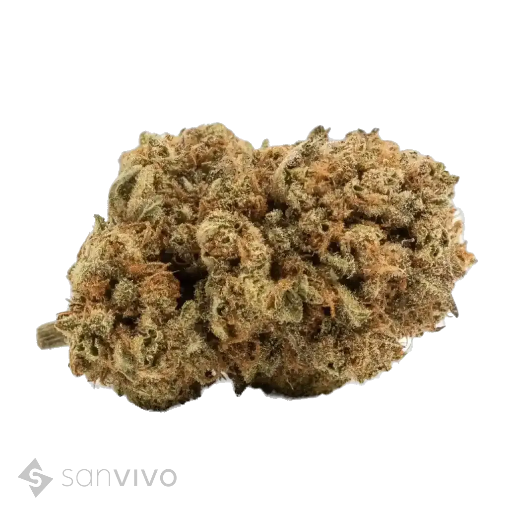Vespera strain