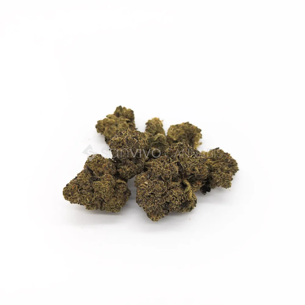 Aurora 24/1 PNK-CA Pink Kush