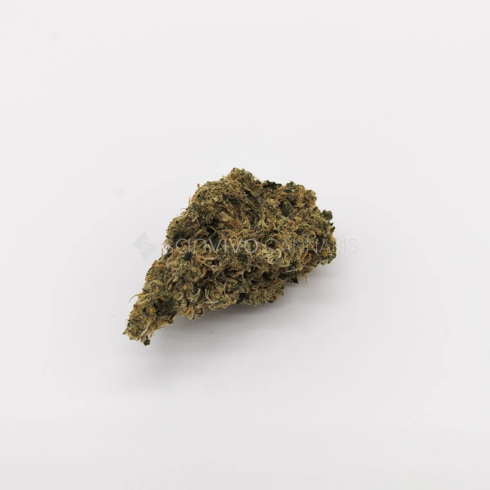 Afina strain