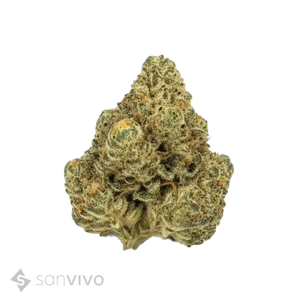 Purple Ice Water strain