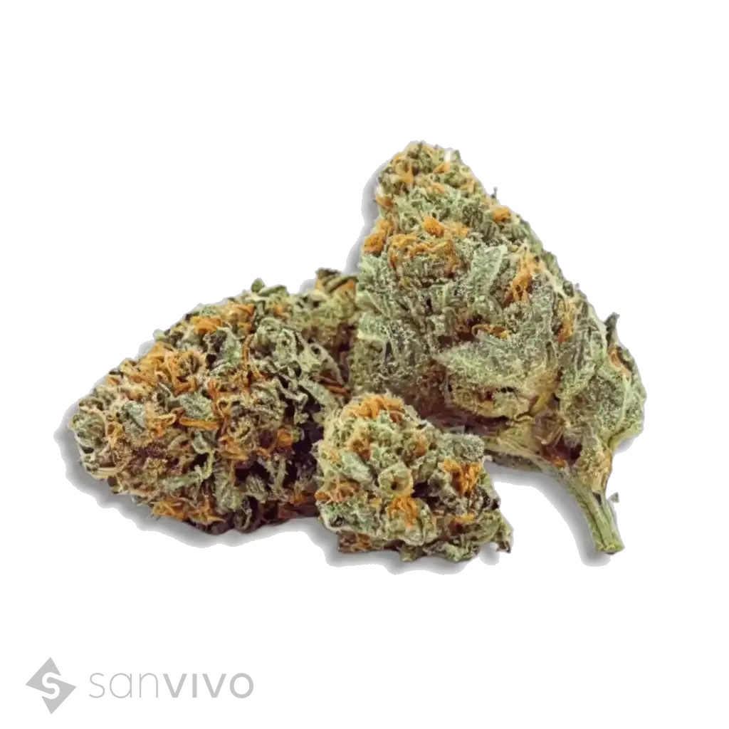Exodus Cheese strain