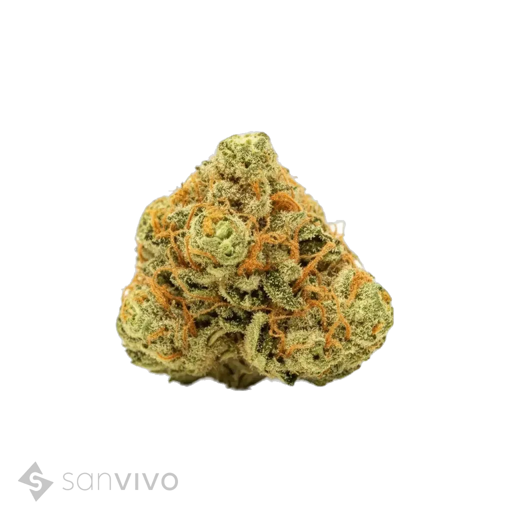 White Lemon (Marakabei Local) strain