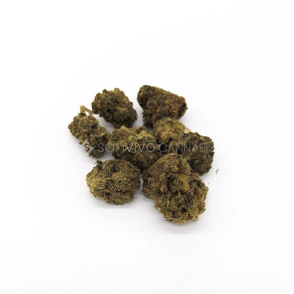IMC THC20 T01 Hindu Kush