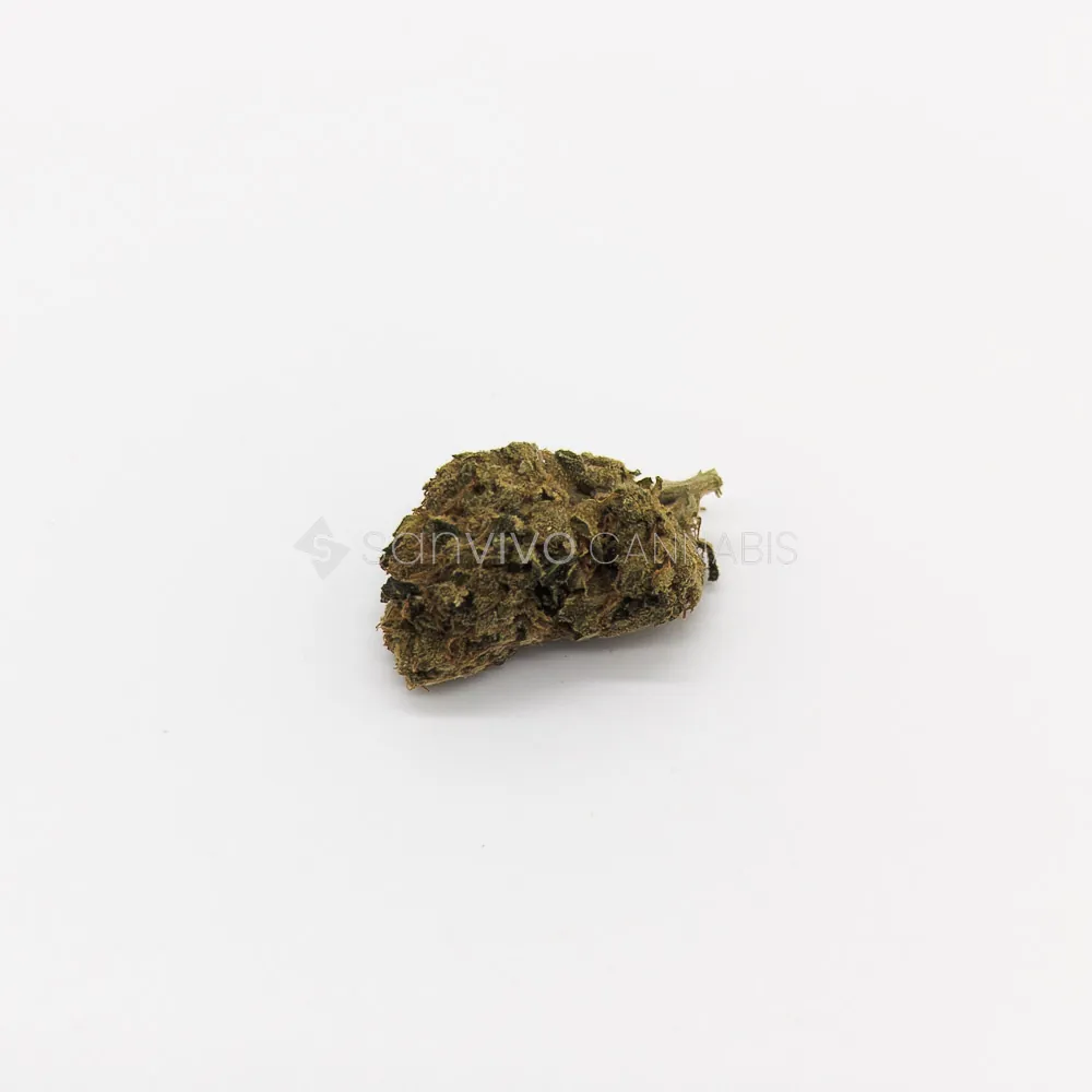 IMC THC22 T01 Hindu Kush
