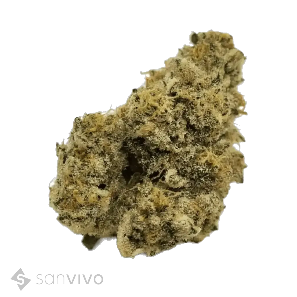 Nimbus EASY 22/1 French Cookies 