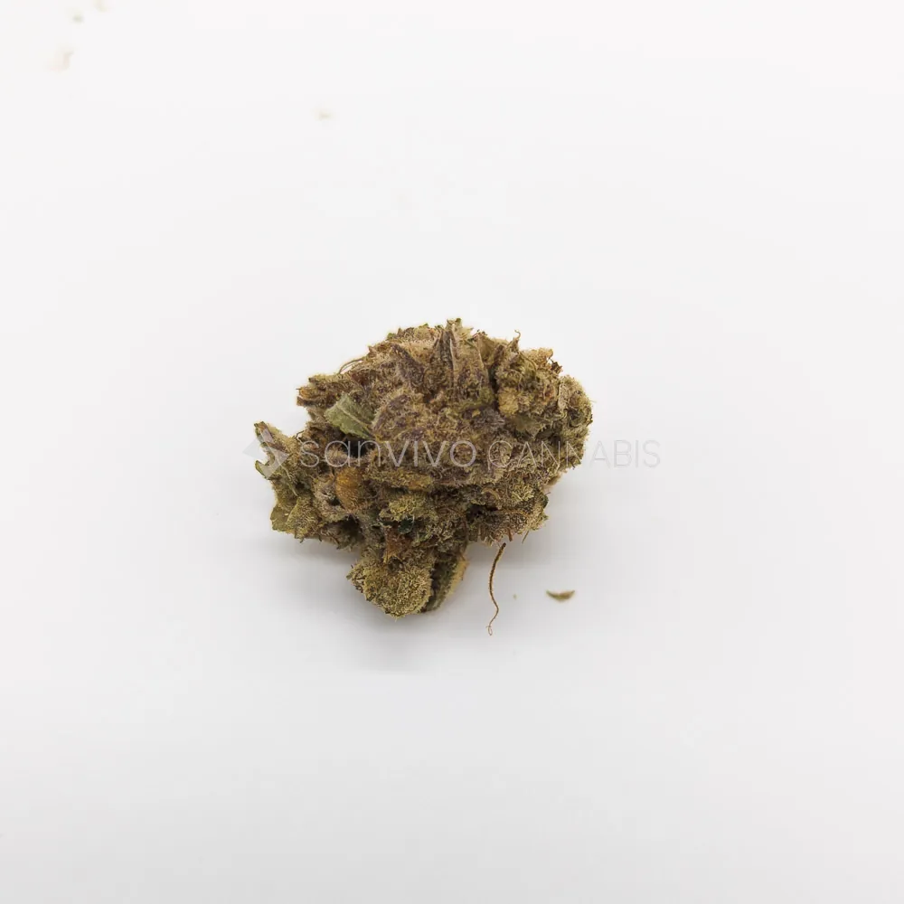 Nimbus EASY 22/1Strawberry Glue