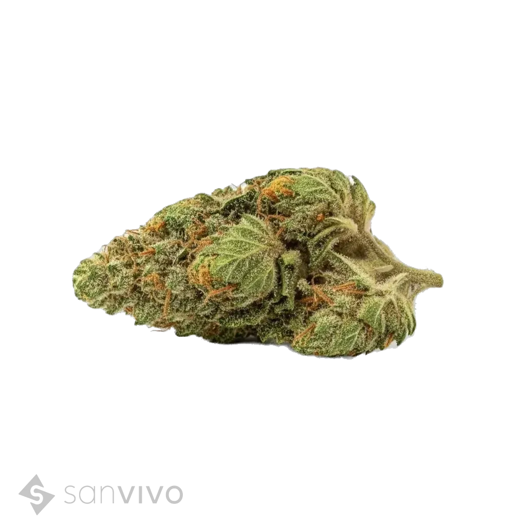 Zour Apple strain