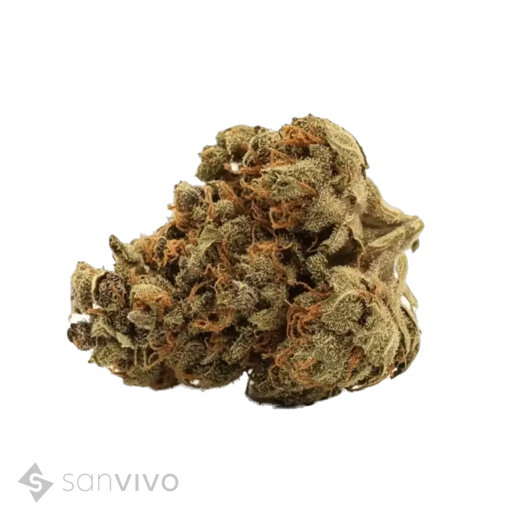 Tangerine Dream strain