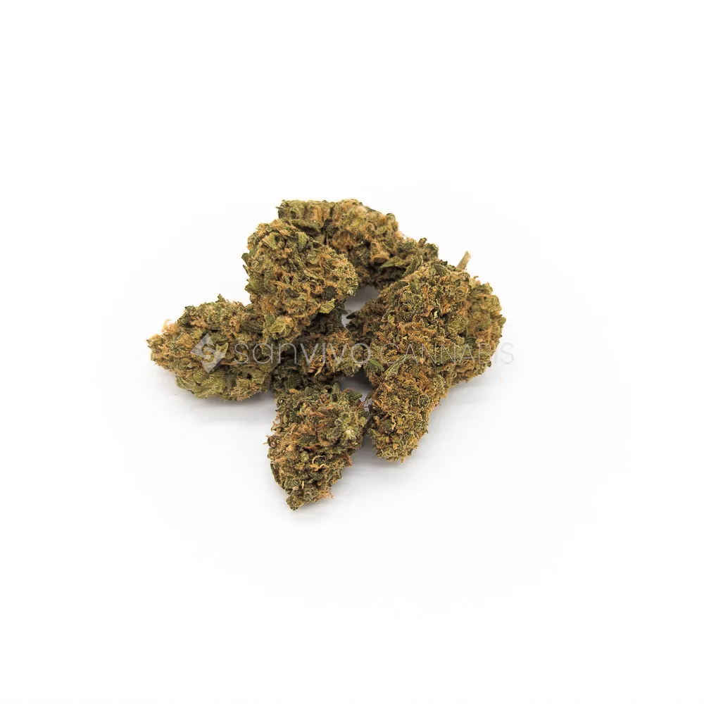 Pedanios 24/1 LAC-CALA Confidential