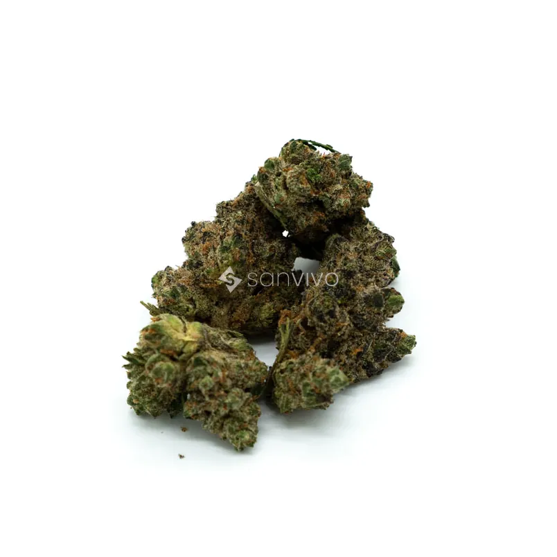 Pedanios 27/1 FRG-CA Farm Gas