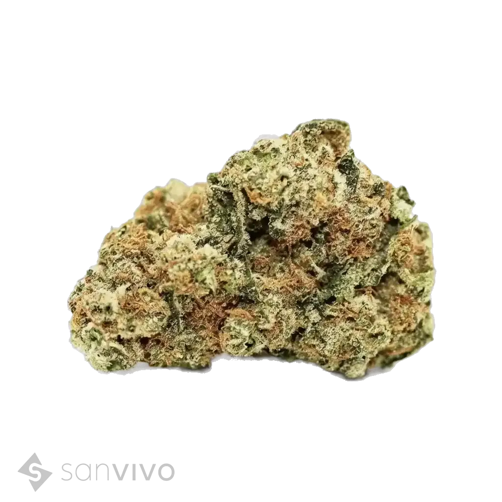 Blue Dream strain