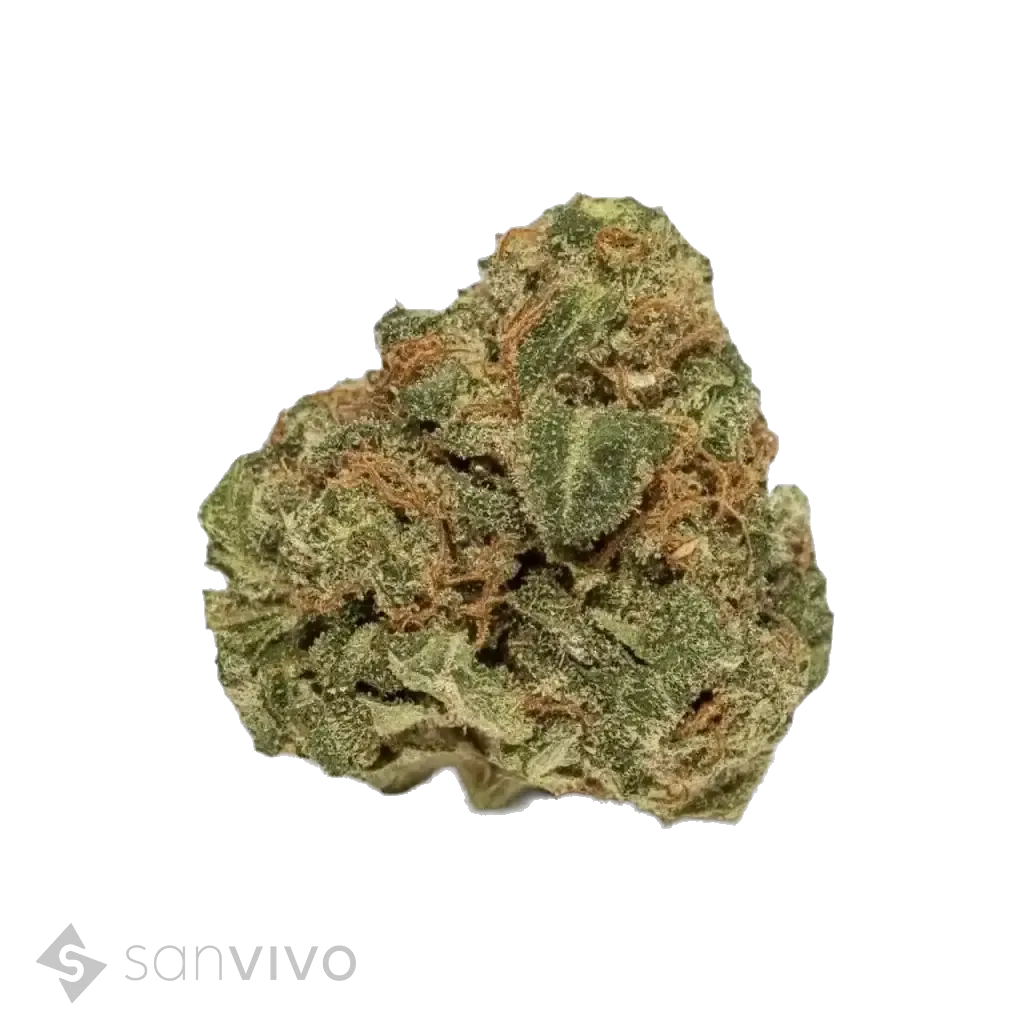 Tilray THC18 Spotlight Porto