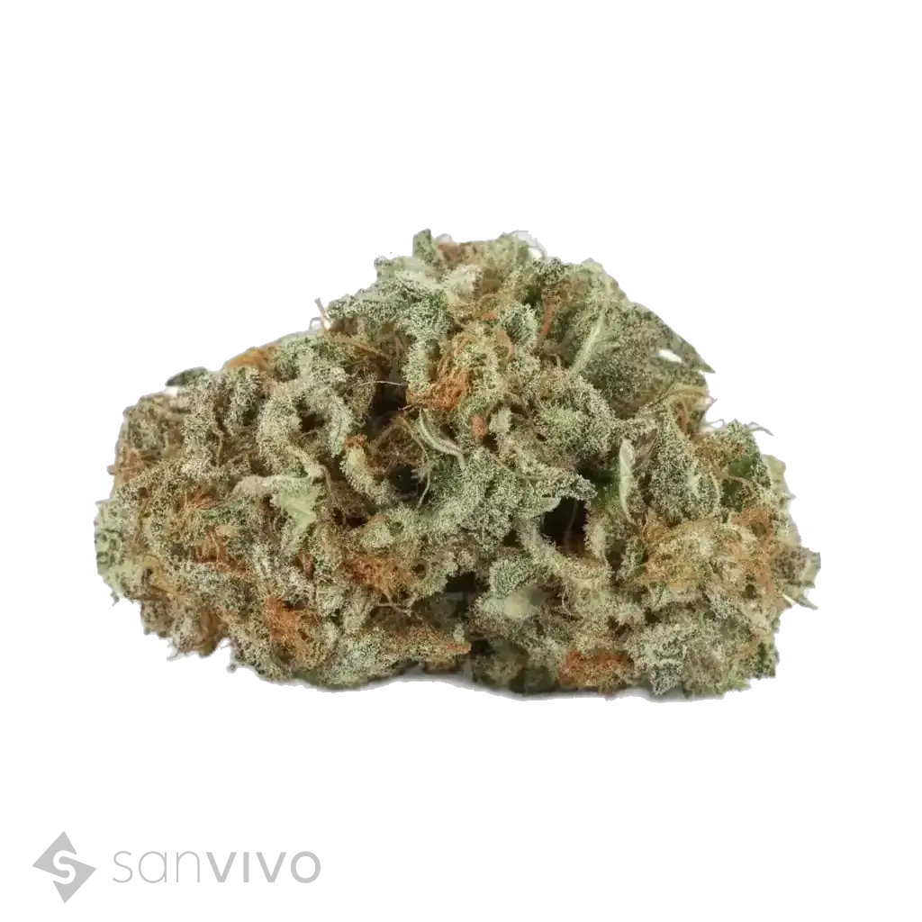 Tilray THC22 Indica No. 2 Master Kush