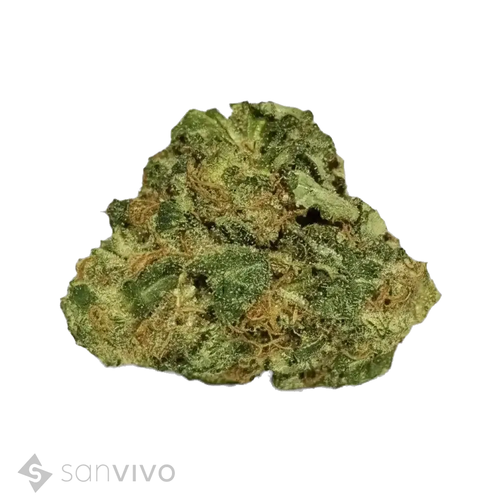 Tilray THC22 Sativa No. 2