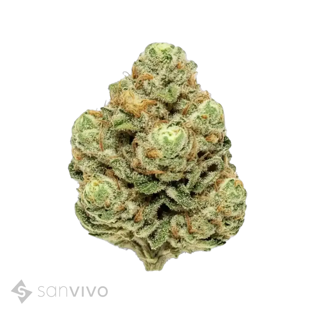 Galaxy Walker OG strain