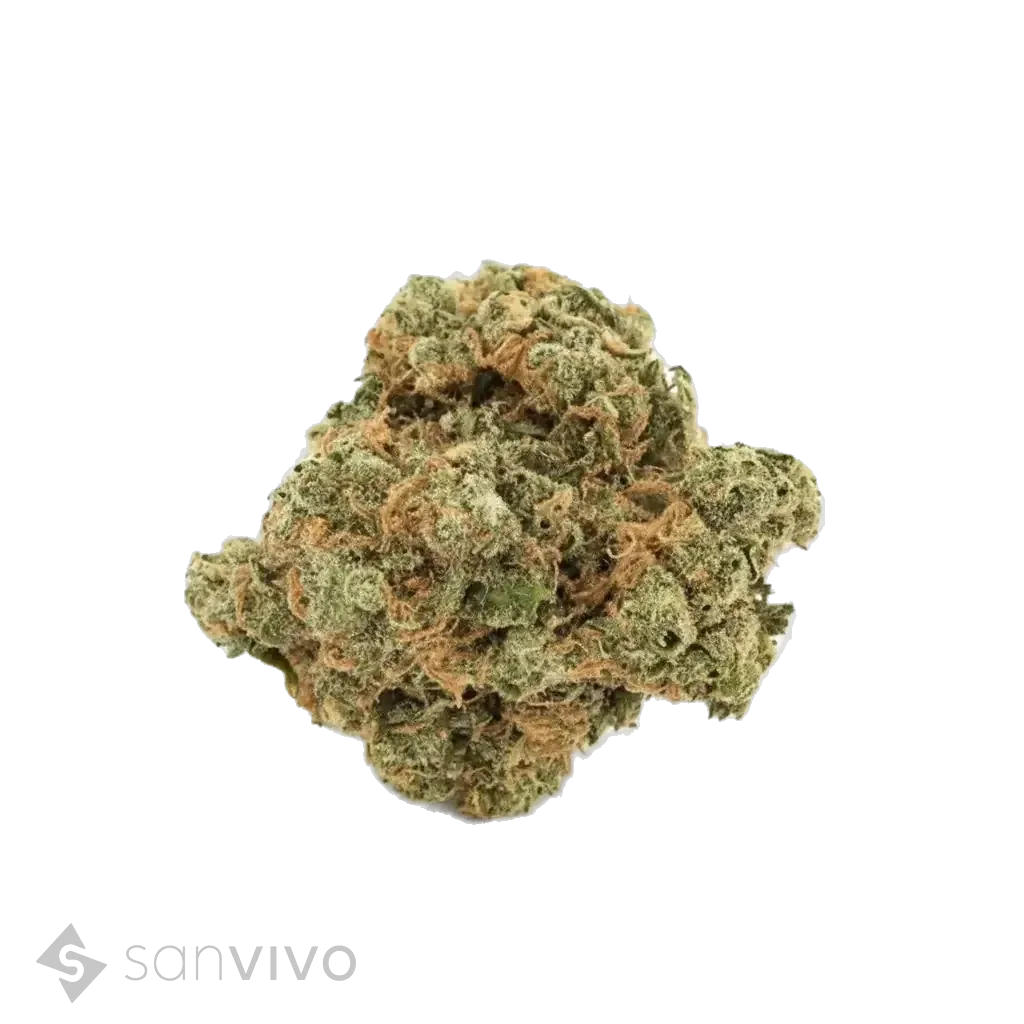 Island Sweet Skunk strain
