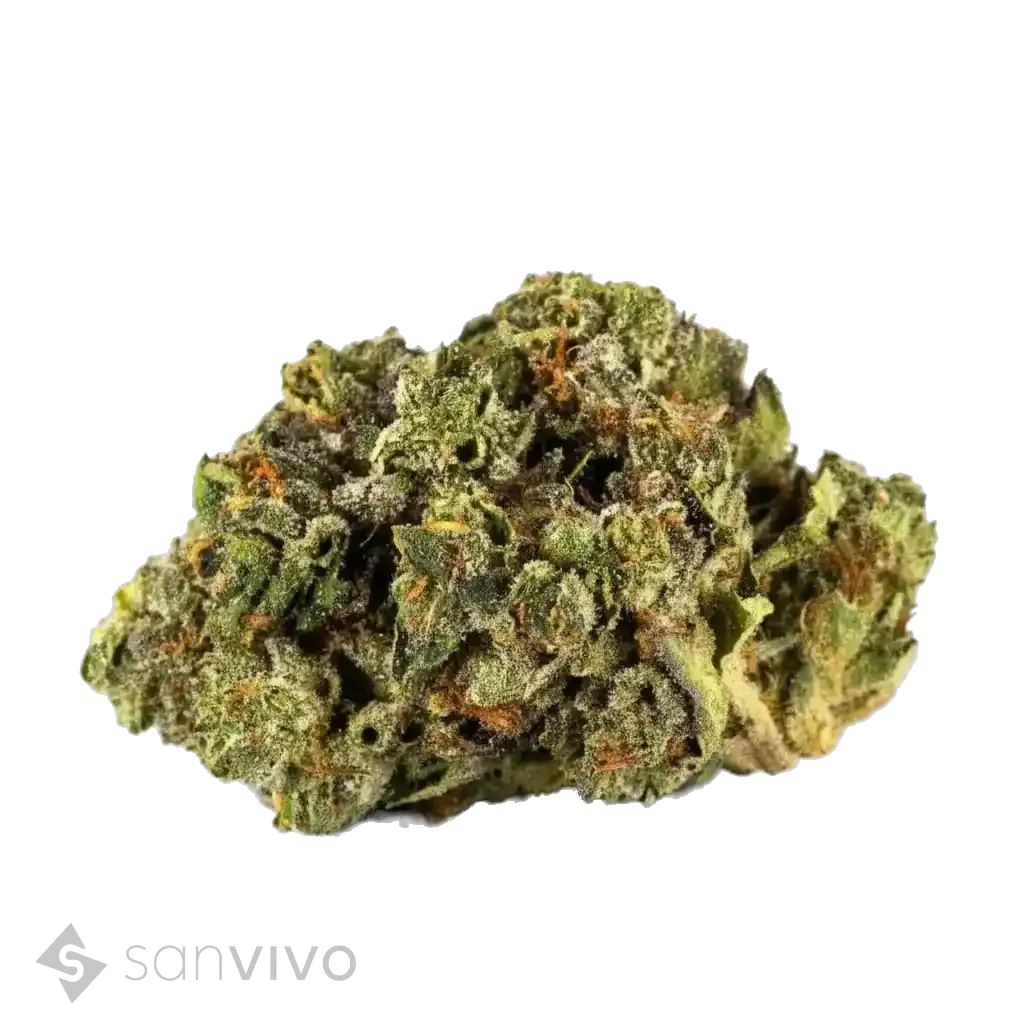 Tilray THC22 Spotlight Porto 