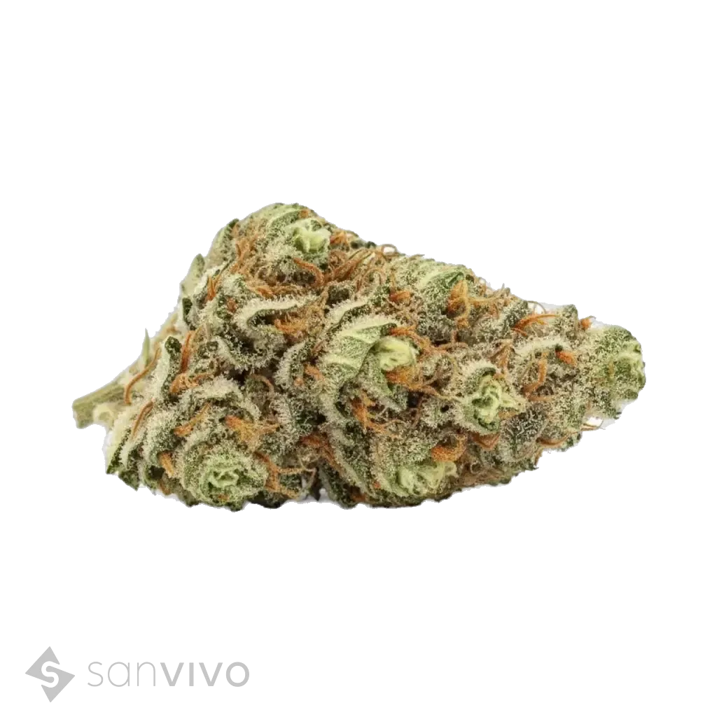 Sour Diesel strain