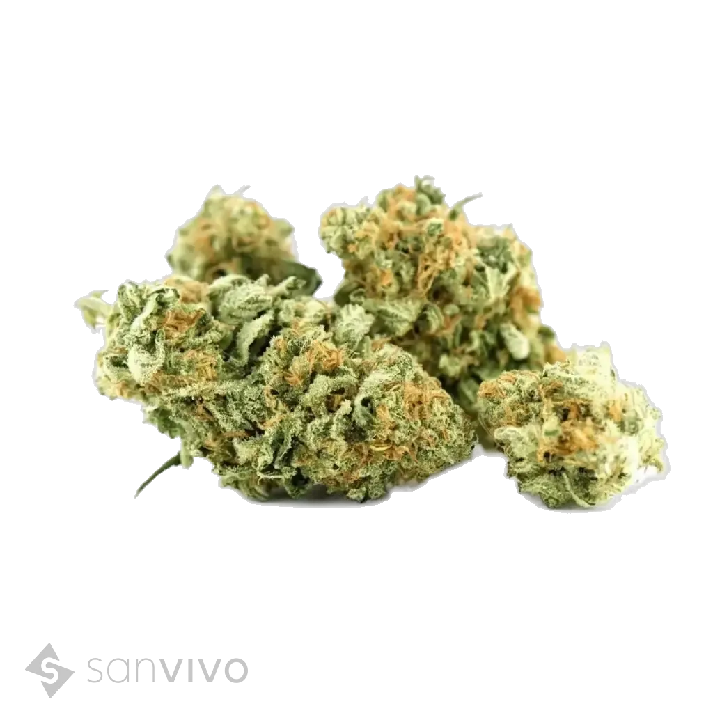 Tilray THC22 Spotlight Porto 