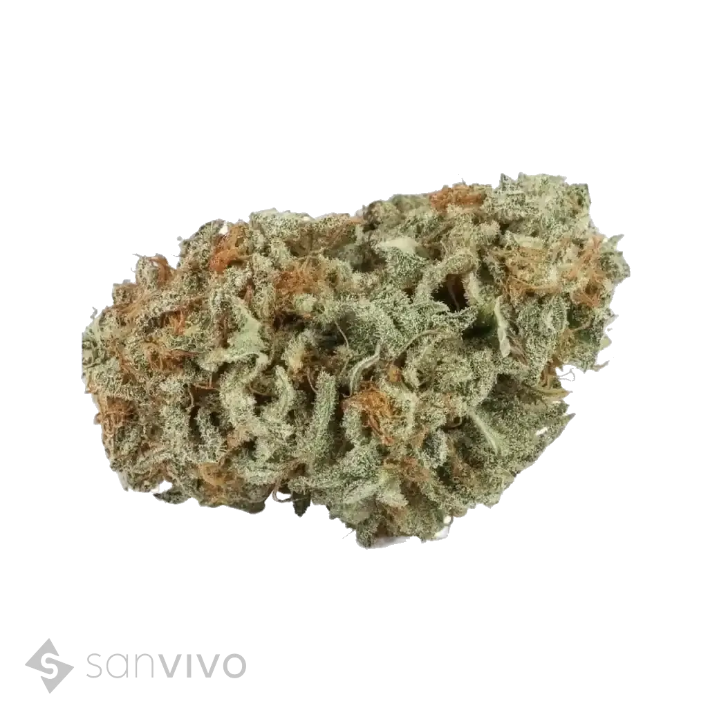 Tilray THC25 Indica No. 2 Master Kush