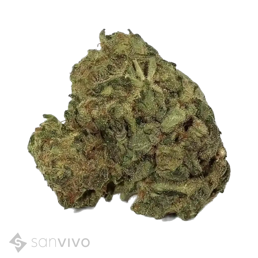 Tilray THC25 Sativa No. 2 