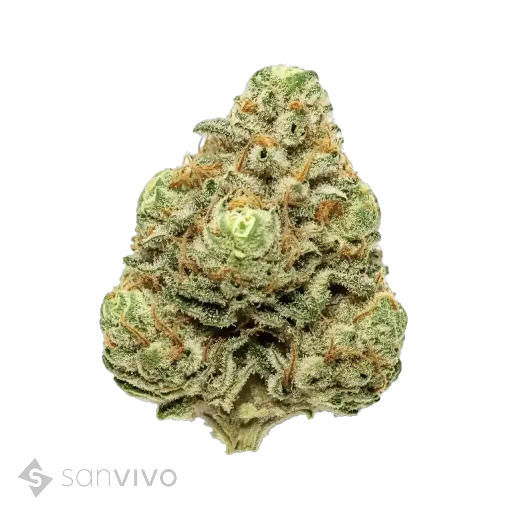 Tilray THC25 Spotlight Porto 