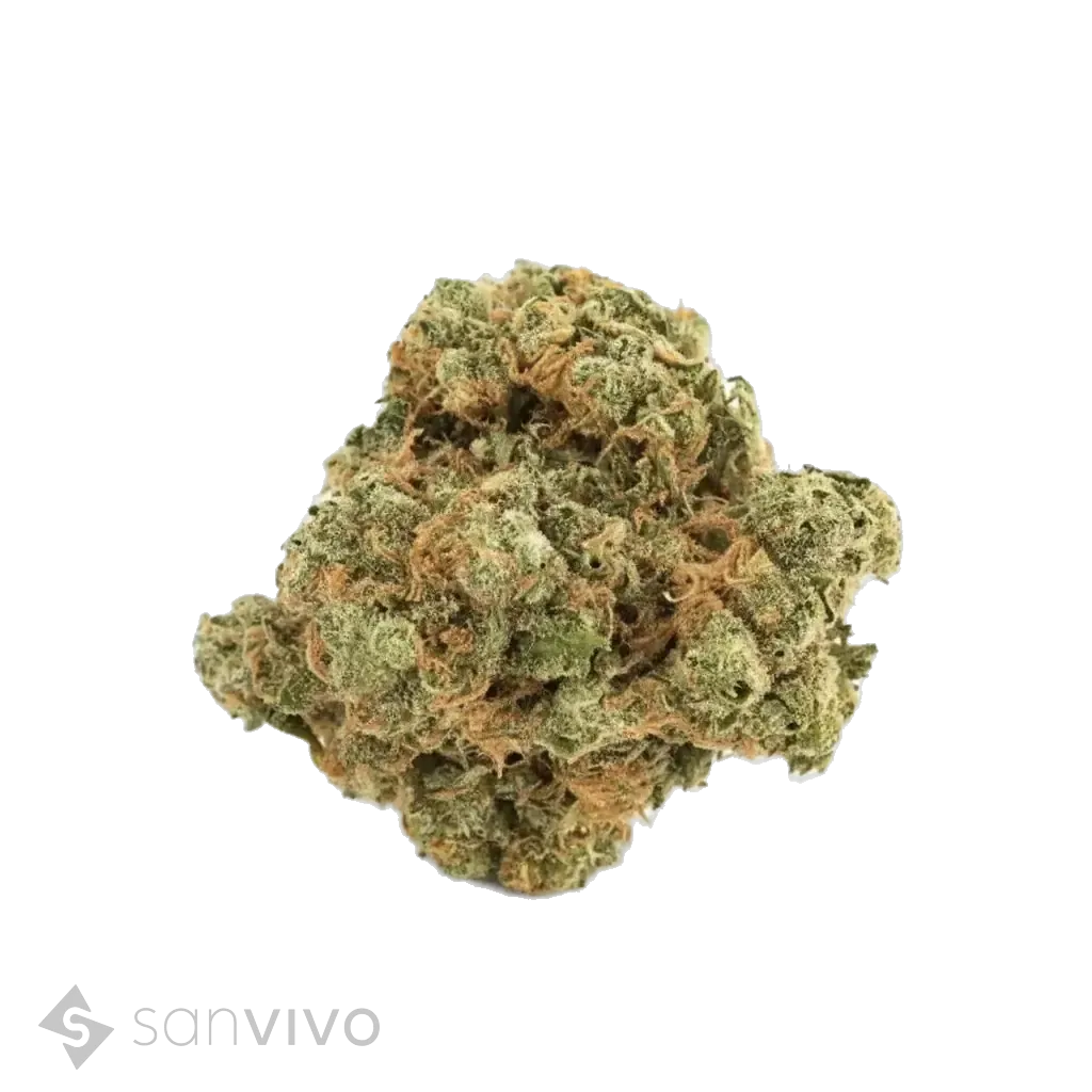 Tilray THC25 Spotlight Porto 