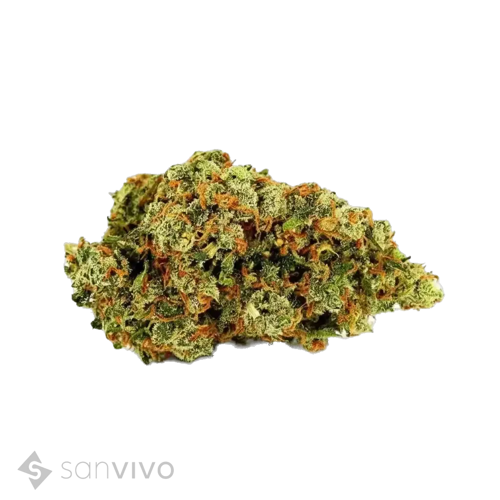 Tilray THC25 Spotlight Porto 