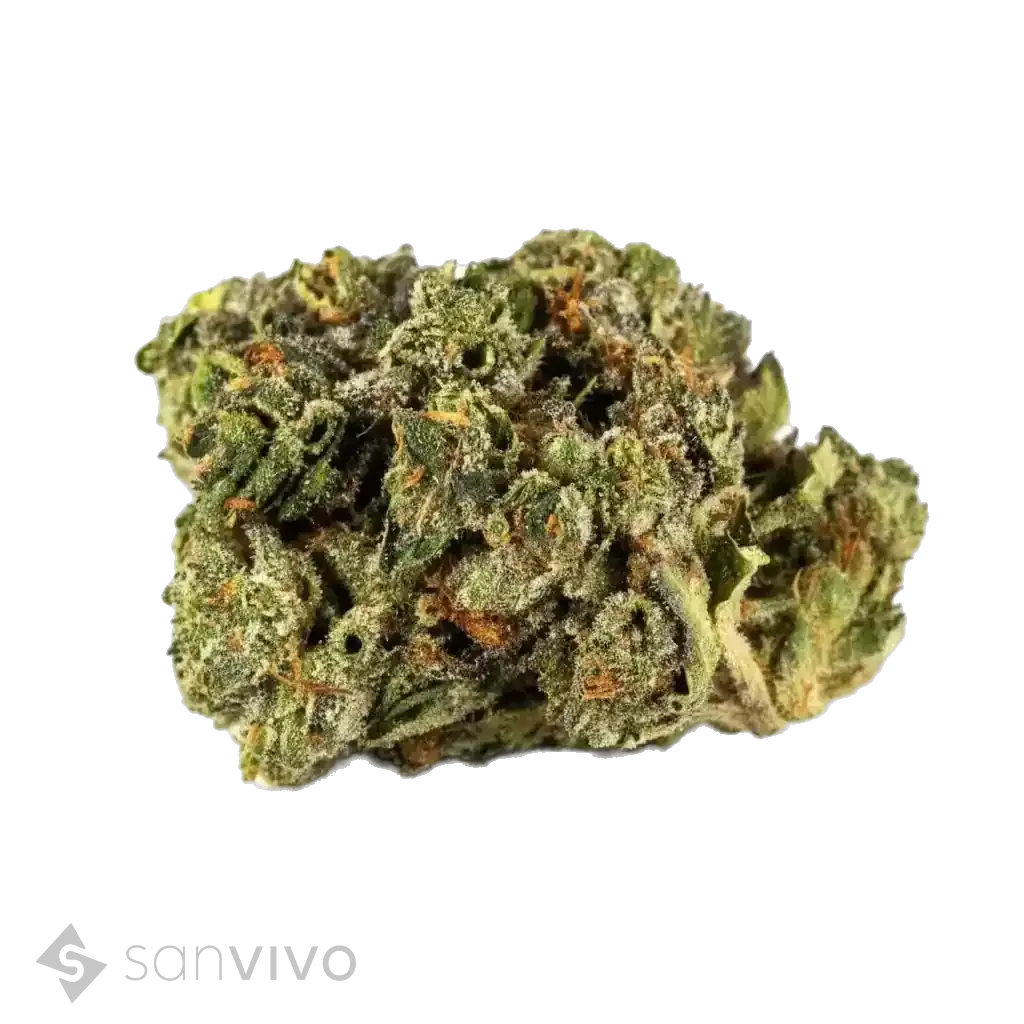 Tilray THC25 Spotlight Porto 