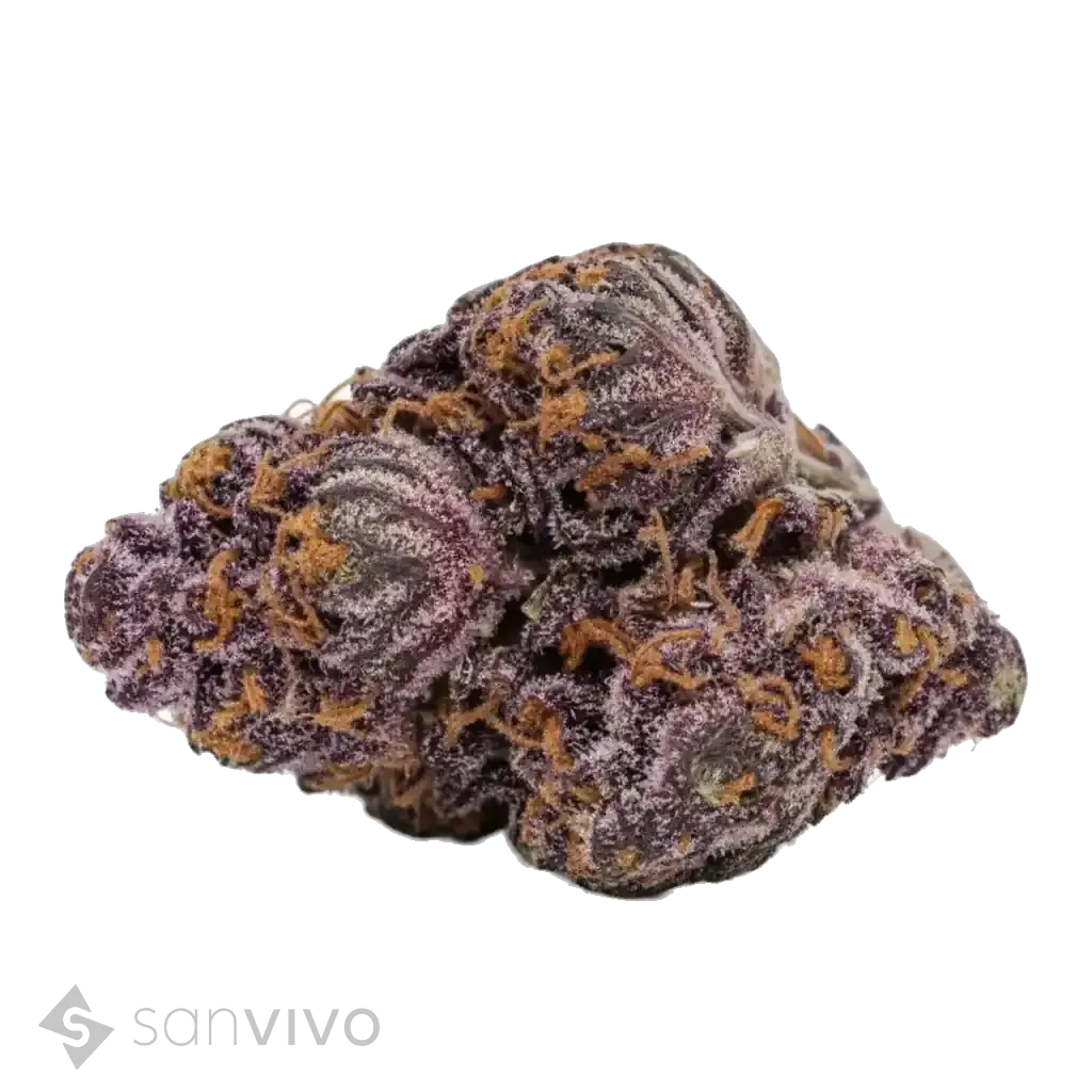 Tilray THC25 Spotlight Porto 