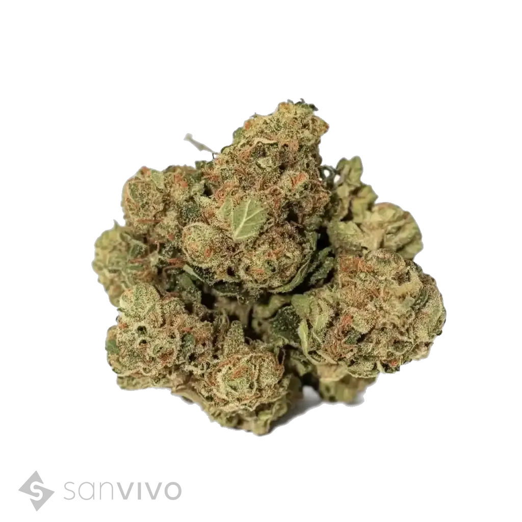 Frosted Lemon Angel strain