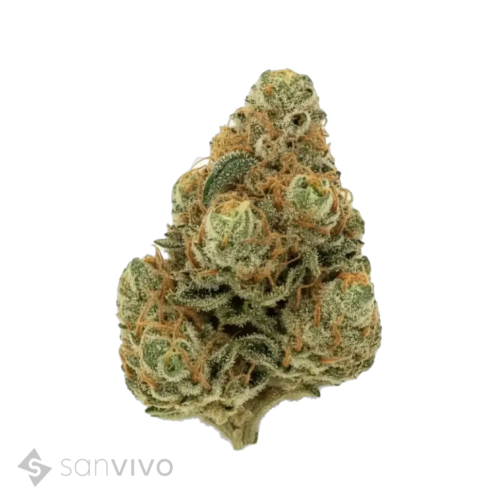 Somango strain