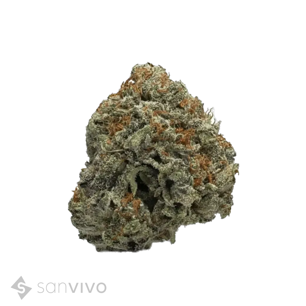 Black Russian strain