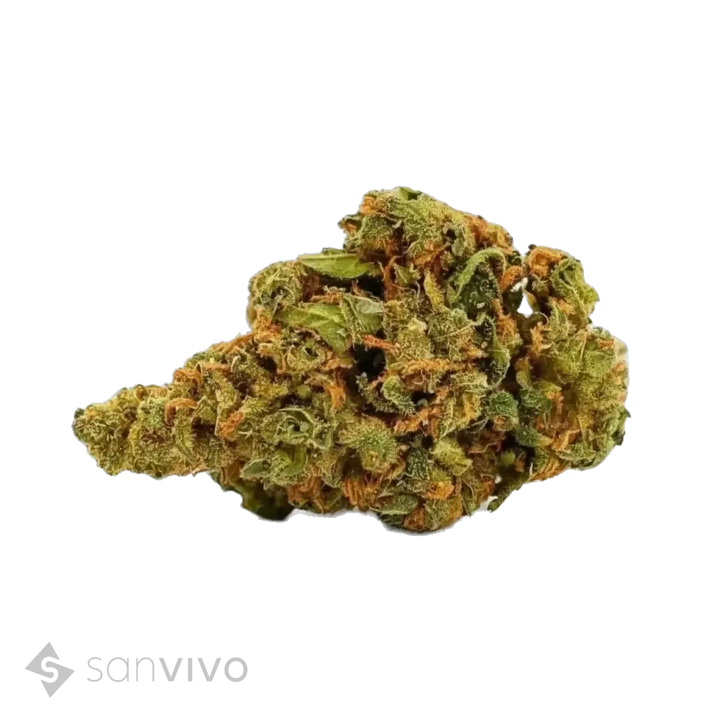 Lemon Skunk strain