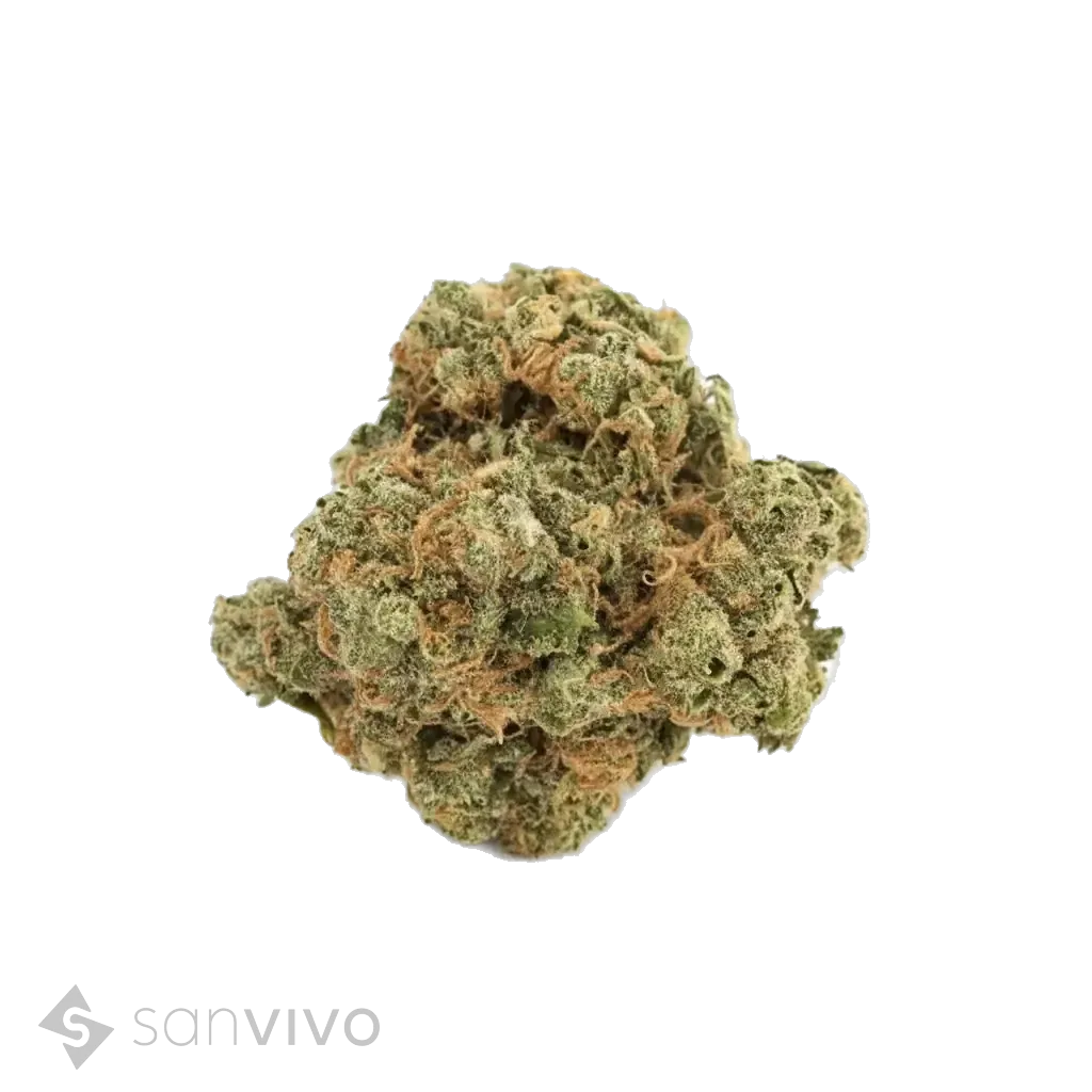 Navcora THC 22 (ISS)