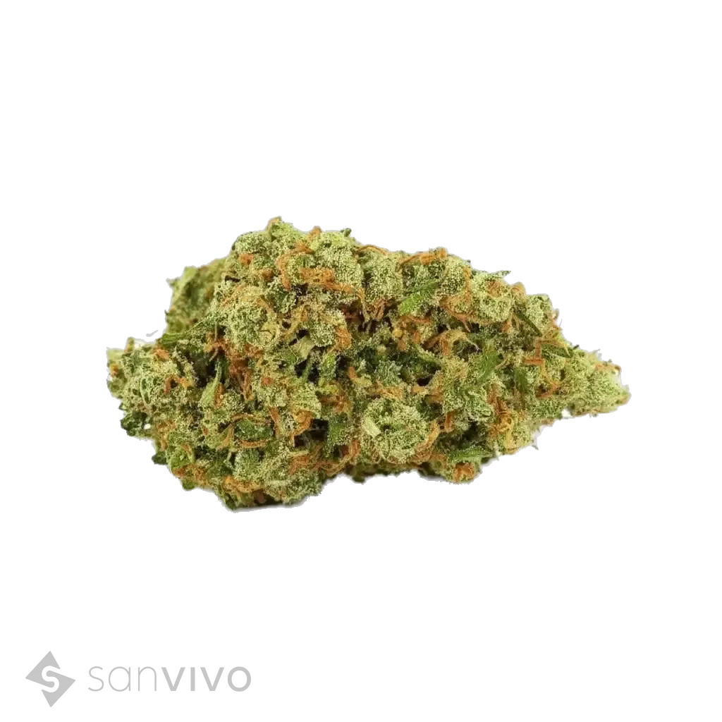Navcora THC 22 (M)