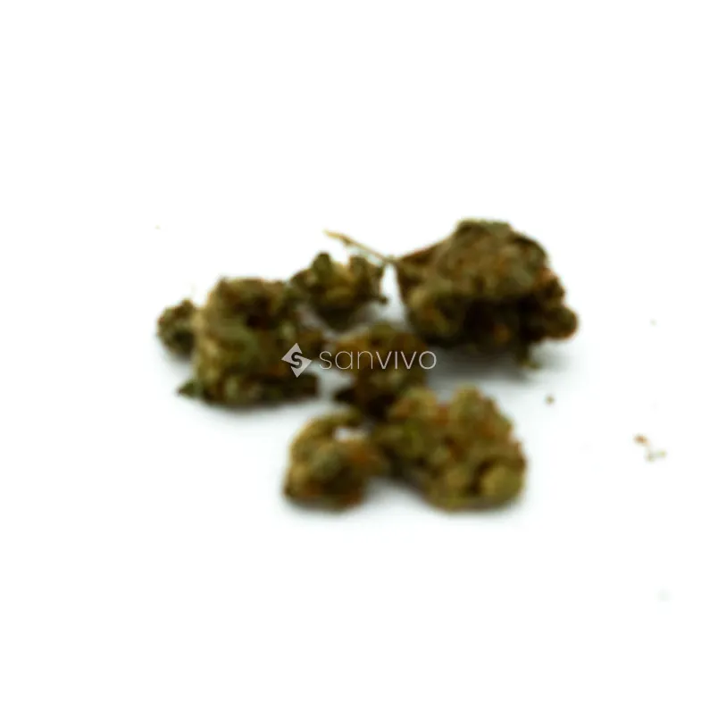 Remexian 20/1 White Widow