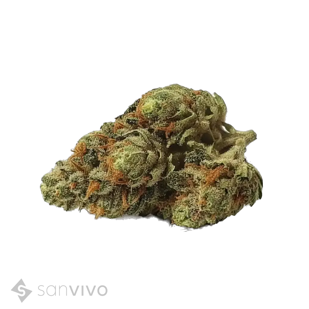 Frosted Lemon Cake strain
