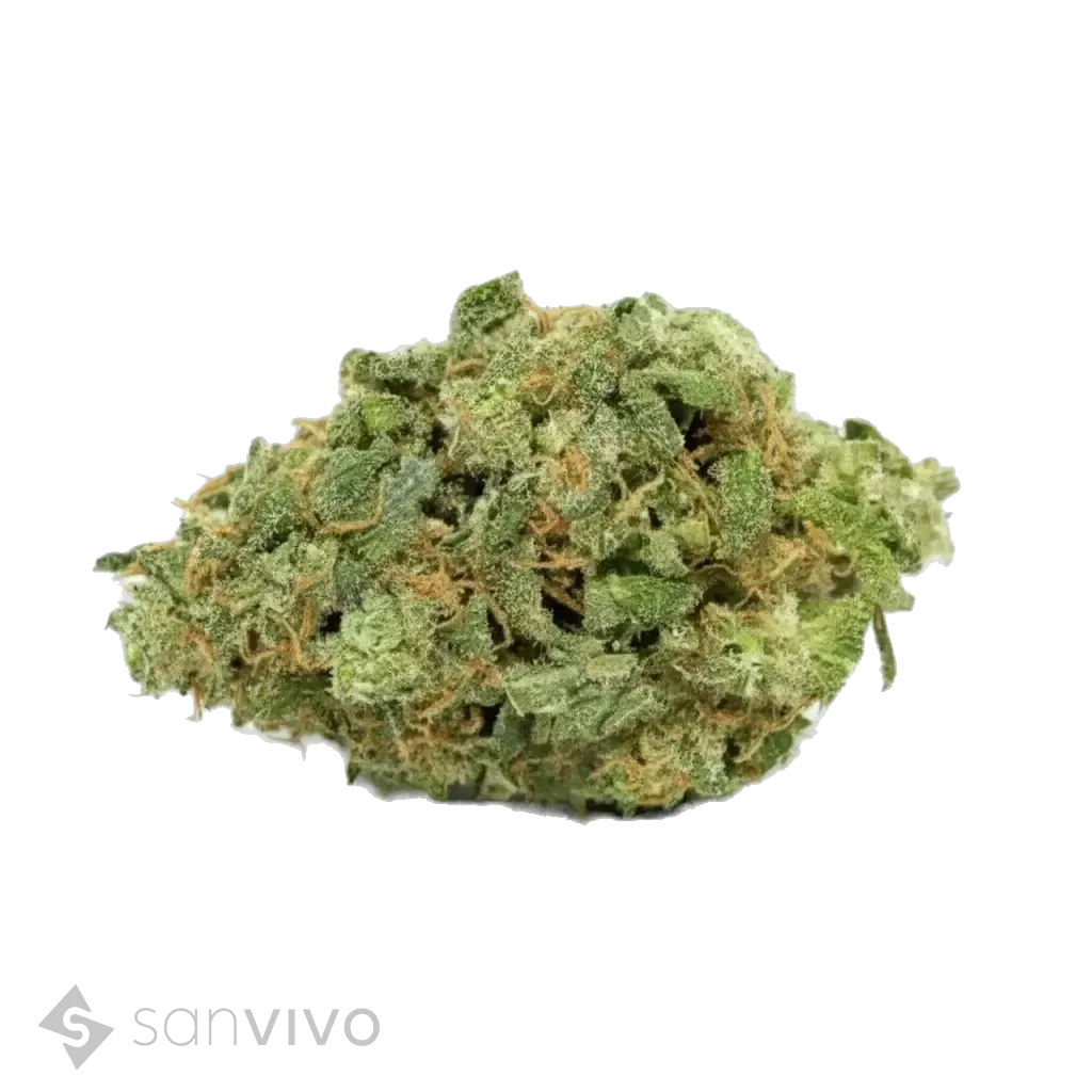 Cannabis 1A 16/1 