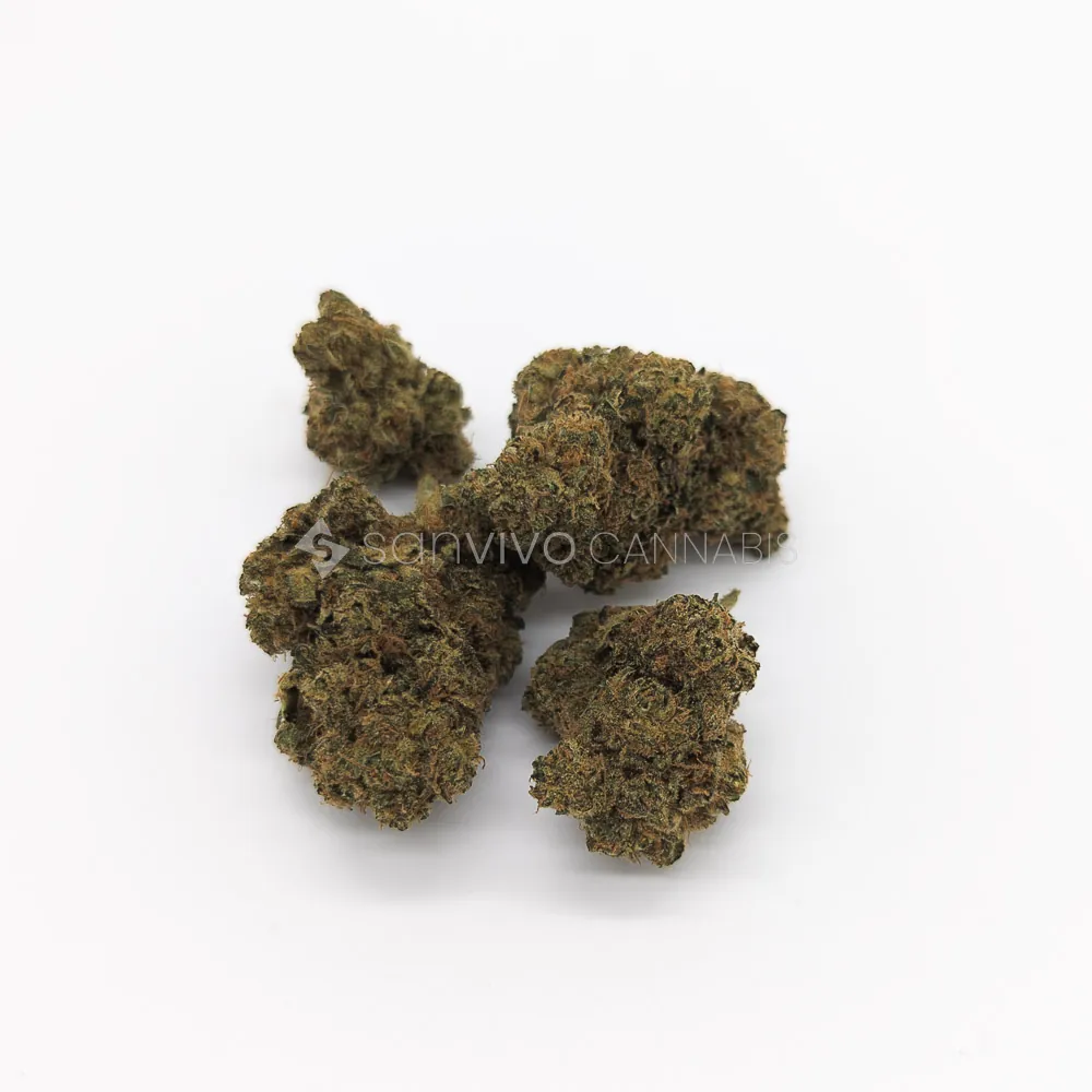 Pedanios 10/13 MBE-CAMoon Berry