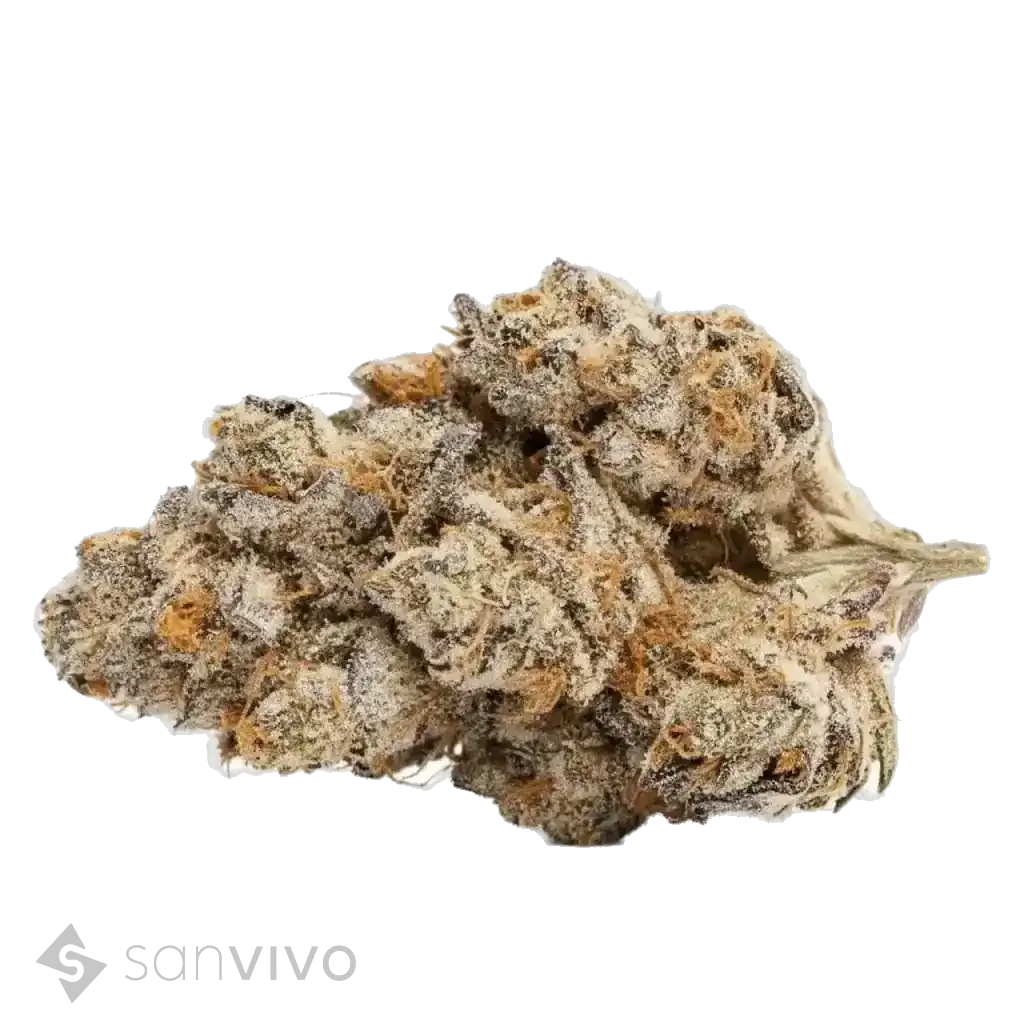 Orange Cake strain