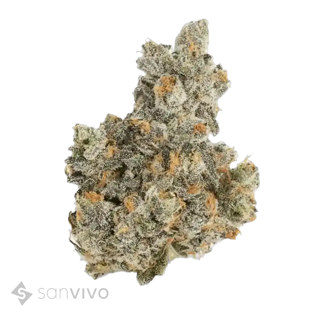 Atomic Apple strain