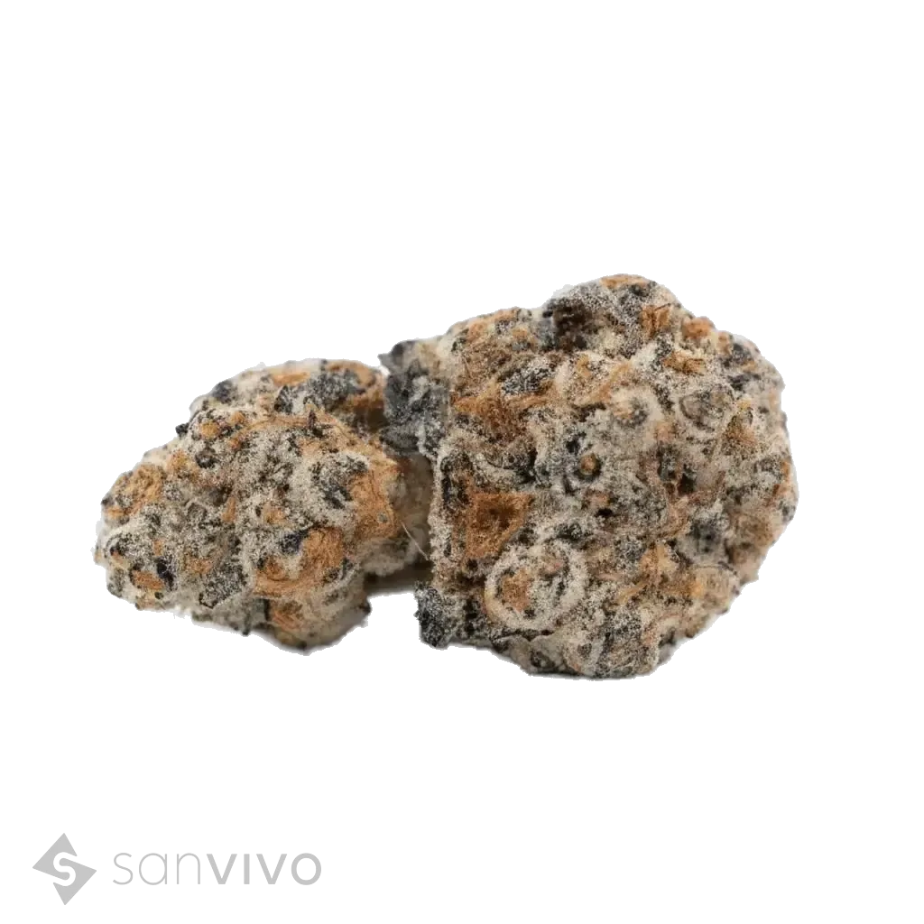 Grape Galena strain