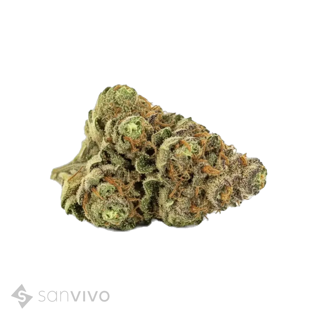 God Bud strain