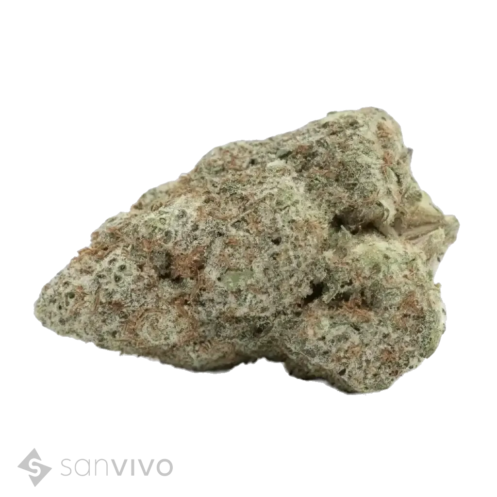 All Nations GM-104 (DEAKTIVIERT)